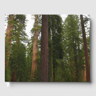 Livro De Visitas Bosque Mariposa no Parque Nacional de Yosemite