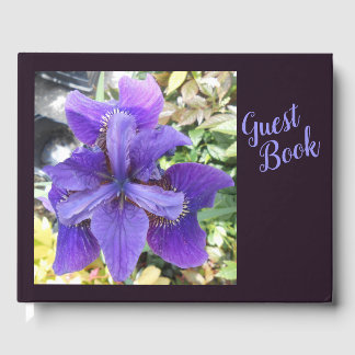 Livro De Visitas Brandeis