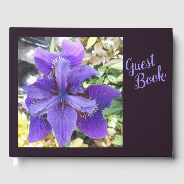 Livro De Visitas Brandeis (Frente)