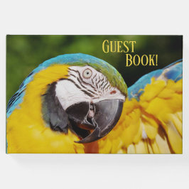 Livro De Visitas Cabeça de arara azul e amarela