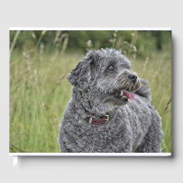 Livro De Visitas Cachorro Cortado Terrier