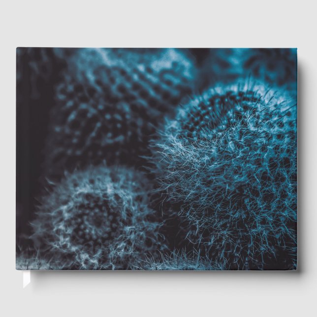 Livro De Visitas Cacto Escuro (Frente)