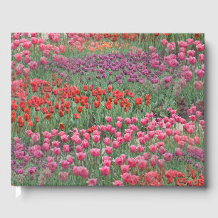 Livro De Visitas Campo De Tulipas