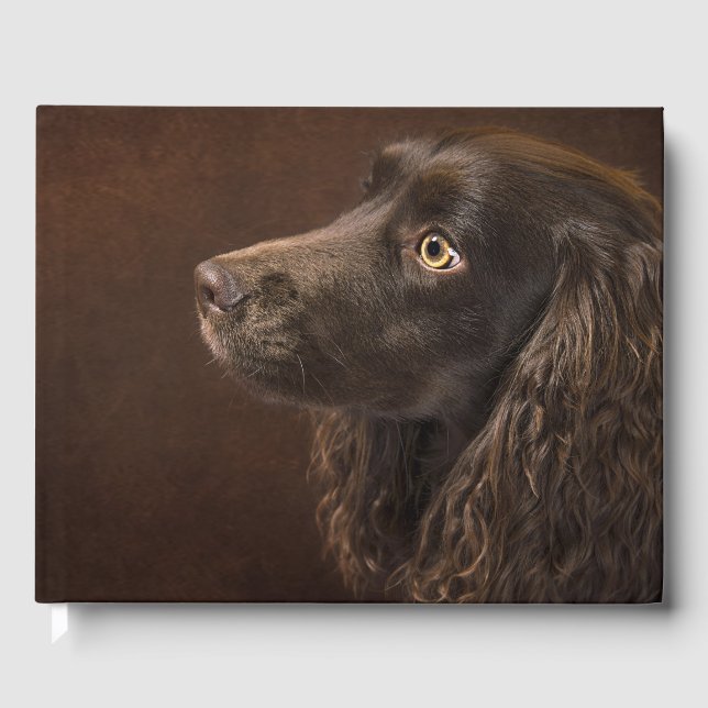 Livro De Visitas Cão De Cabelo Castanho (Frente)