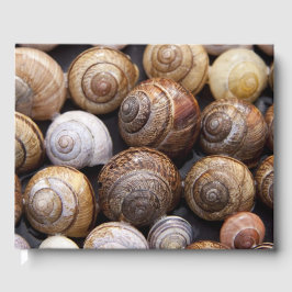 Livro De Visitas Caracóis