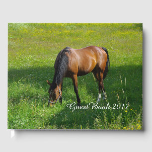 Livro De Visitas Cavalo #1