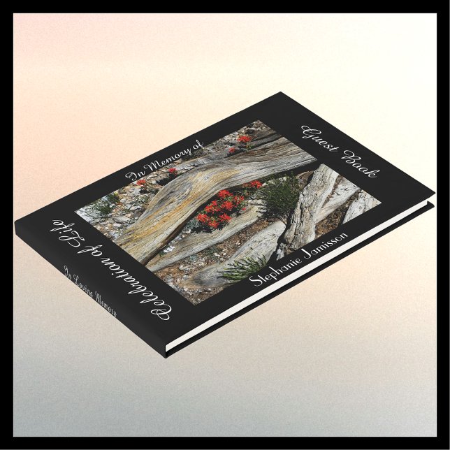 Livro De Visitas Celebração da Vida, Nome, Flores Vermelhas e Madei (Criador carregado)