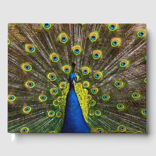 Livro De Visitas Colorful peacock (Frente)
