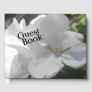 Livro De Visitas Coquete