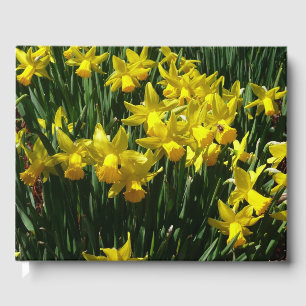 Livro De Visitas Daffodils Amarelos I