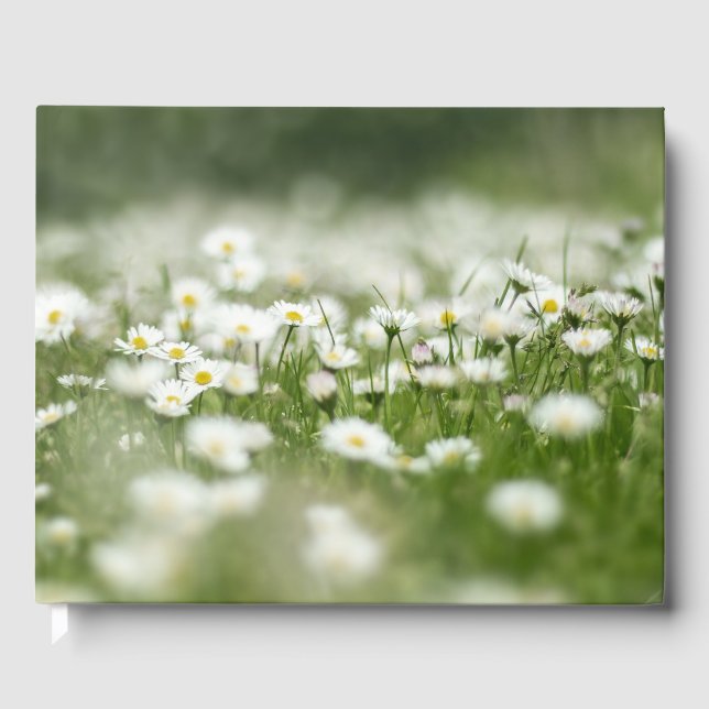 Livro De Visitas Daisy Meadow (Frente)