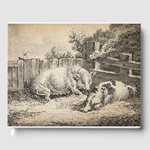 Dois porcos deitados com palha numa Caneta ao ar l