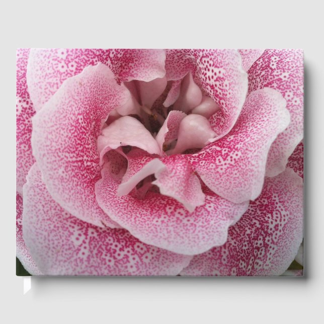 Livro De Visitas Dotty Sobre Você (Frente)