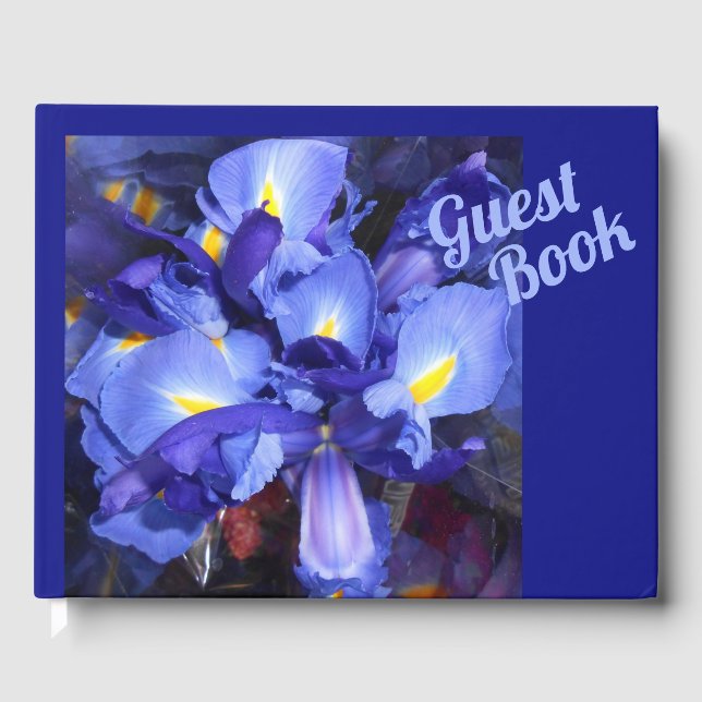 Livro De Visitas Ermengarde (Frente)