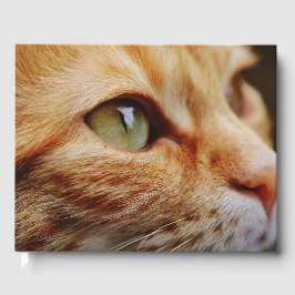 Livro De Visitas Face determinada de um gengibre