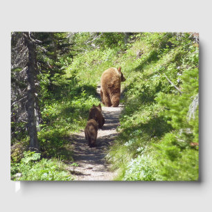 Livro De Visitas Família Brown Bear