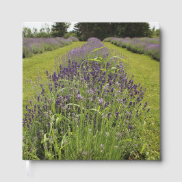 Livro De Visitas Fazenda de Lavanda de Seafoam