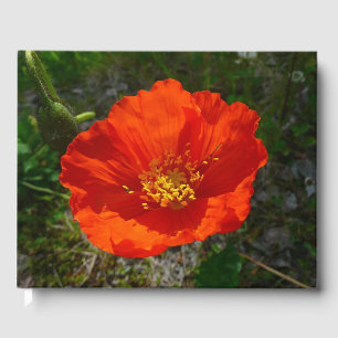 Livro De Visitas Flor Colorida Vermelho do Alasca