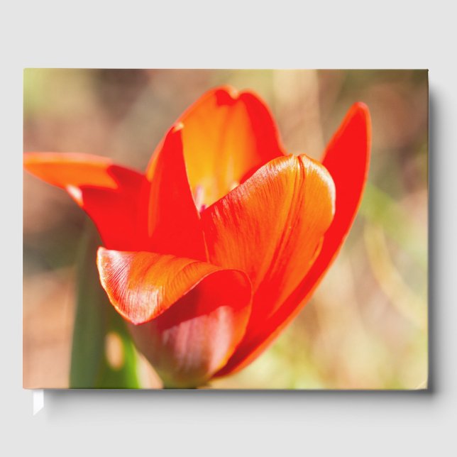 Livro De Visitas Flor de Tulipas Vermelhas (Frente)