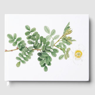 Livro De Visitas Flor do Jardim Botânico Rosa Botânica, de cor bran