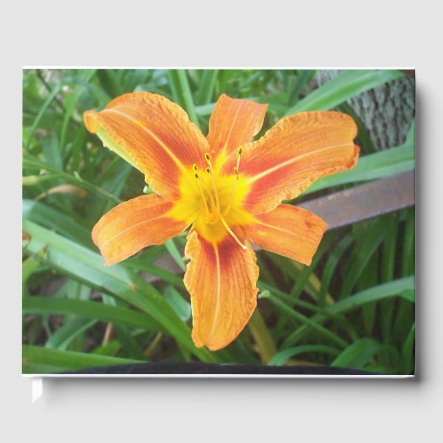 Livro De Visitas Flor Laranja (Frente)