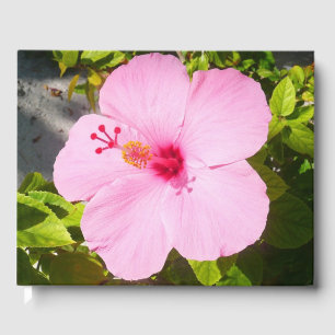 Livro De Visitas Flor Tropical de Hibiscus Rosa