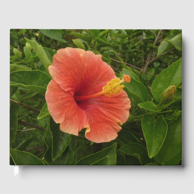 Livro De Visitas Floral Tropical de Laranja Hibiscus (Frente)