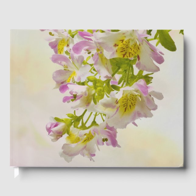 Livro De Visitas Flores de borboletas (Frente)