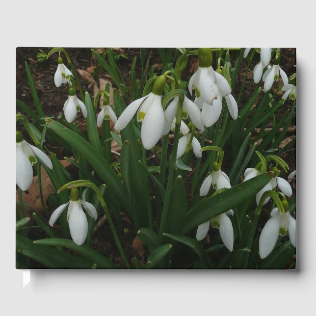 Livro De Visitas Flores de primavera Brancas I (Galanthus) (Frente)
