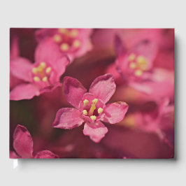 Livro De Visitas Flores Rosa Bonitas