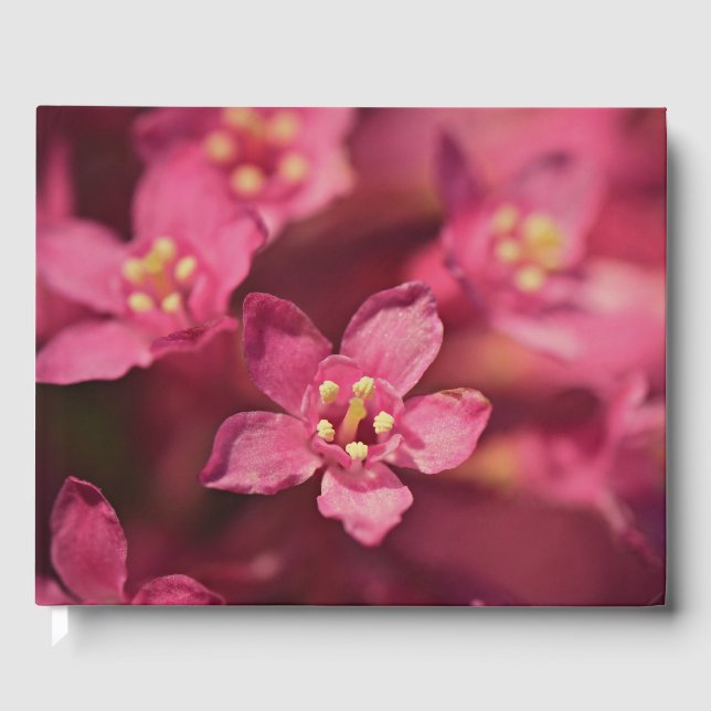 Livro De Visitas Flores Rosa Bonitas (Frente)