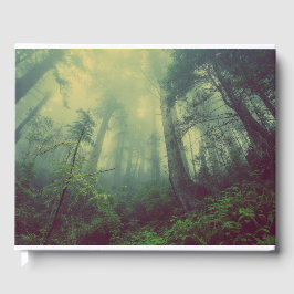 Livro De Visitas Floresta De Baixo