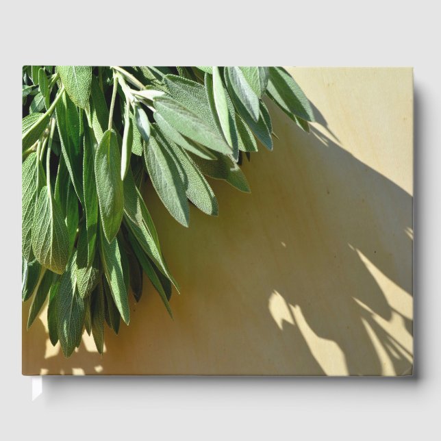 Livro De Visitas Folhas botânicas verdes elegantes Ervas frescas co (Frente)