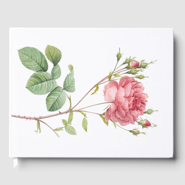 Livro De Visitas Garden Princesa Rosa Rosa Bonita (Frente)