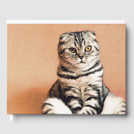 Livro De Visitas Gatinho Bonito Desenterrado