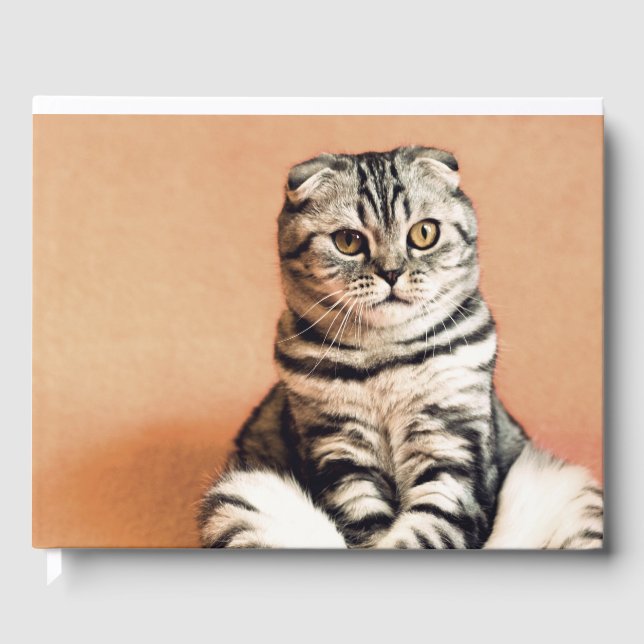 Livro De Visitas Gatinho Bonito Desenterrado (Frente)