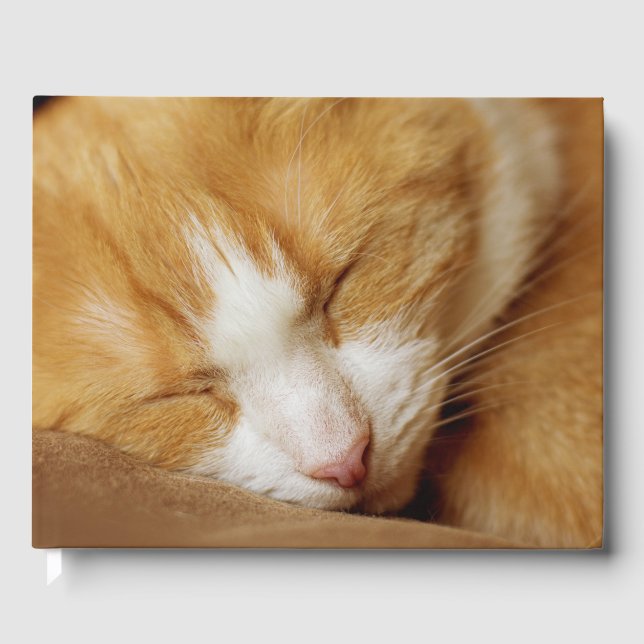 Livro De Visitas Gatinho Dormindo (Frente)