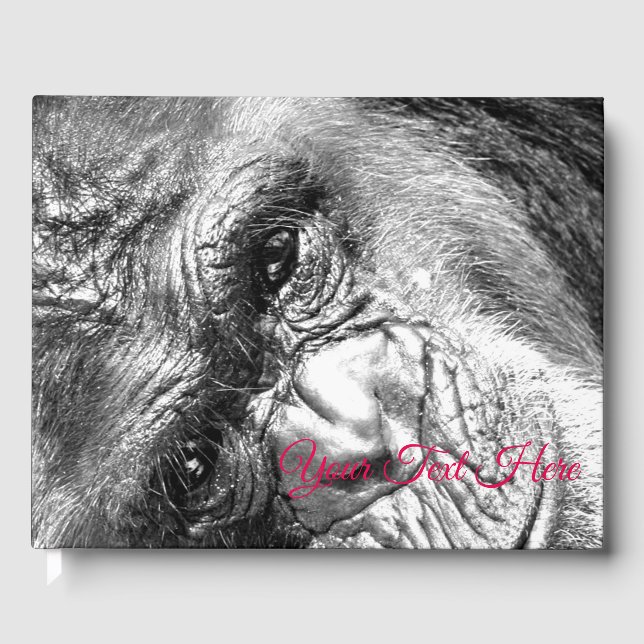 Livro De Visitas Gaze Intensa (Frente)