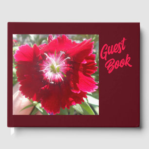 Livro De Visitas Geertje