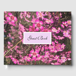 Livro De Visitas Geraldton Wax