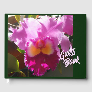 Livro De Visitas Harlinde