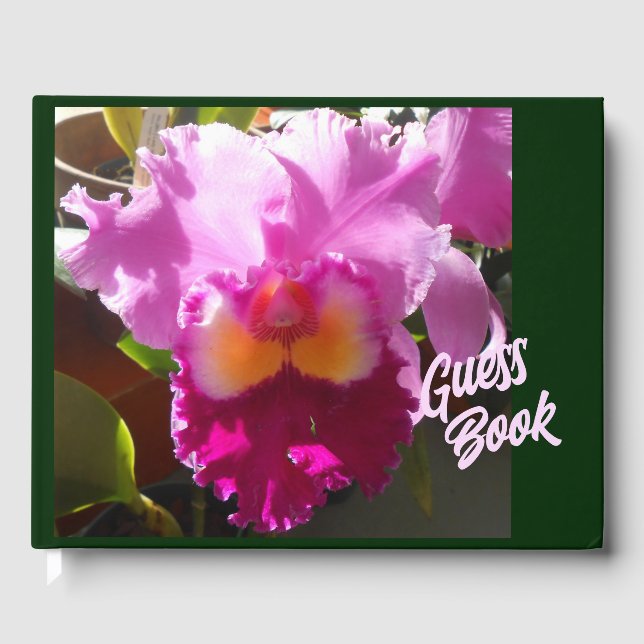 Livro De Visitas Harlinde (Frente)