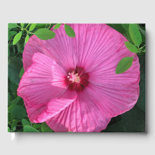 Livro De Visitas Hibiscus Bloom