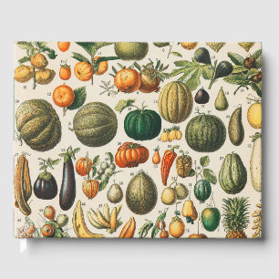 Livro De Visitas Ilustração Científica Botânica Vegetal fruta