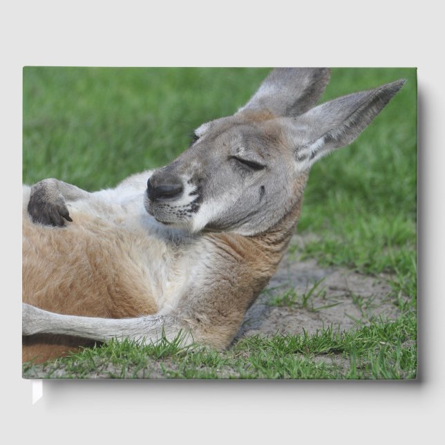 Livro De Visitas Laid-back Kangaroo (Frente)