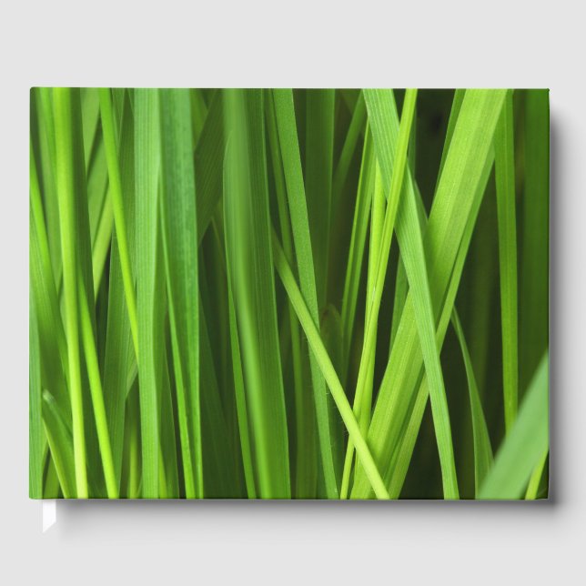 Livro De Visitas Lâminas de gramíneas (Frente)