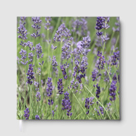 Livro De Visitas Lavanda