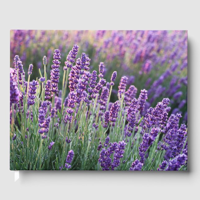 Livro De Visitas Lavanda Lusciosa (Frente)