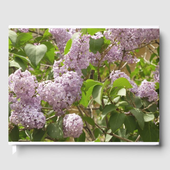 Livro De Visitas Lilac Bush Lindas Flores de primavera Roxas (Frente)