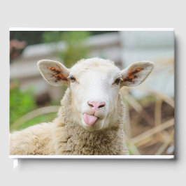 Livro De Visitas Língua do espetáculo de ovelhas